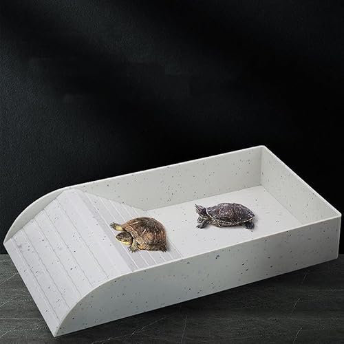 Acuario de Plástico para Peces y Reptiles - Recipiente Multiusos con Escalera para Tortuga, Cuenca de Casco - 30,5 x 14,8 x