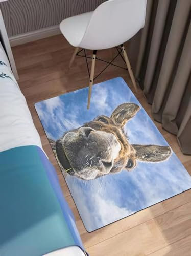 OHAGS nicht rutsches Badezimmermatten maschinenwaschbar, Ultra-weich und Wasser saugfähiger Badenteppich für Badezimmer,Esel aus nächster Nähe,40x60 cm