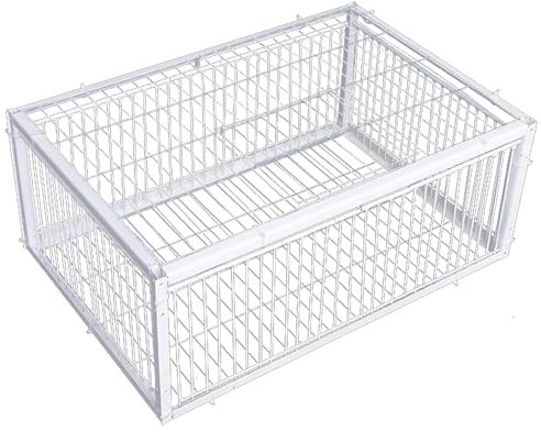 Trampa para pájaros con diseño a Prueba de Escape Pigeon Patio Patio Garden Garnm Warehouse Trampa Humana para Paloma Pollo de Conejo de ratón de ratón