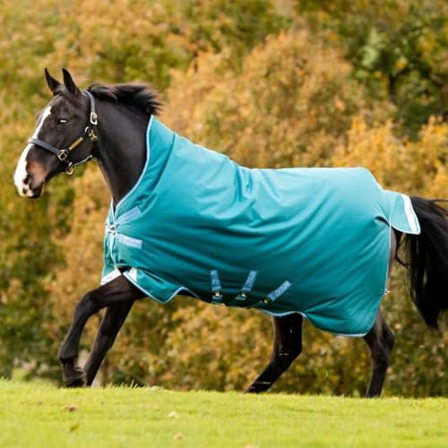 Horseware Amigo Bravo 12 Wug Heavy Storm Green Größe wählbar (140)