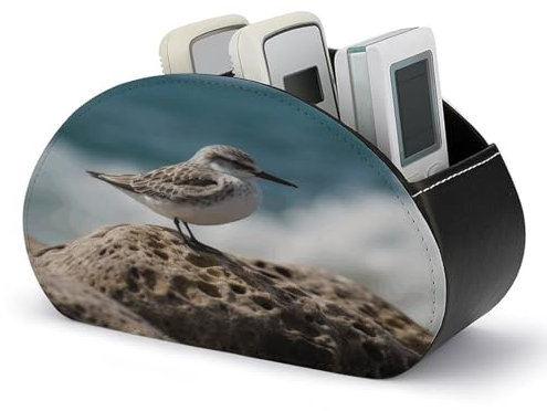 HKMNTGD TV-Fernbedienungshalter, Fernbedienungs-Caddy, Vogel sitzend auf dem Felsen, bedruckter Schreibtisch-Organizer mit 5 Fächern zur Aufbewahrung von Fernbedienungen, Stiften, Schlüsseln,