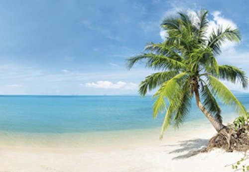 1art1 Strände Malediven Strand-Paradies, 3-Teilig Fototapete Poster-Tapete 360x250 cm