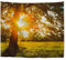 A.Monamour Wanddekor Wandteppiche Sommer Sonnenuntergang Zeit Sonnen Durch Wald Baum Grün Gras Natur Landschaft Bild Hintergründe Stoff Wand Tapisserie Wandbehänge Yoga Decken 180x230cm