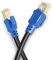 Weiqiao® Cat 8 Câble Ethernet Réseau RJ45 Haut Débit 40Gbps 2000MHz Câbles de Connexion pour PC Routeur TV Box Nintendo Switch PS3 PS4 Consoles de Jeux (30m, Bleu)