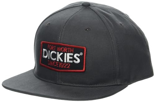 Dickies Men's Logo Patch Flat Bill Slate Gray (SL) Snapback Hat