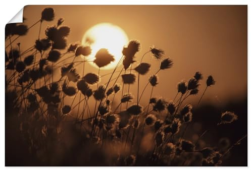 ARTLAND Wanddeko Poster & Kunstdrucke Wandposter 120x80 cm aesthetic room decor Sonnenuntergang Wollgras Pflanzen U5QQ