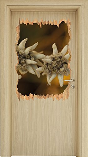 Stil.Zeit Weißes Edelweiß Holzdurchbruch im 3D-Look, Wand- oder Türaufkleber Format: 92x62cm, Wandsticker, Wandtattoo, Wanddekoration