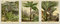 Palm Tree Room Decor Wall Art - Botanical & Tropical Plant Decor, Palm Tree Portraits for Green Room Decor Best Gift for Nature Lover Minimalist Modern Home Decor Vintage Posters (8.3 x 11.7 (A4))