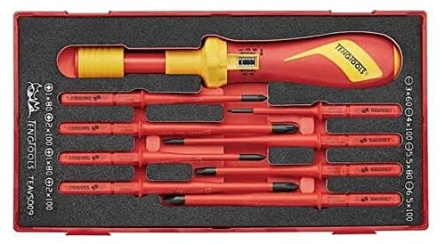 TENGTOOLS TEAVSD09 Torque Screwdriver + 8 Flat Rods PH & PZ