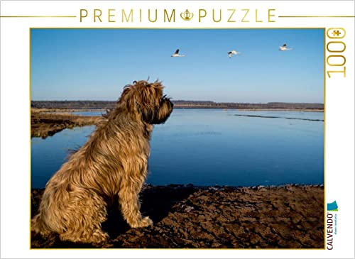 CALVENDO Puzzle Berger de Brie | 1000 Teile Lege-Größe 64 x 48 cm Foto-Puzzle für glückliche Stunden