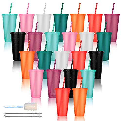 LEIFEOSH 24 Pack Plastic Tumblers with Lids and Straw, Reusable Cups with Lids and Straws Colorful Cups for Cold Drink Iced Coffee, Plastic Tumbler Bulk for Party Birthday Gifts (24 oz, Dark Colors)
