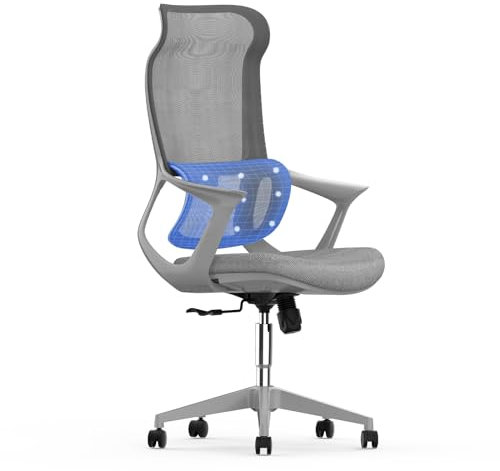 FLEXISPOT Bürostuhl Ergonomisch Schreibtischstuhl Computerstuhl Höhenverstellbarer Sitz Kopfstütze Armlehne Lendenwirbelstütze Lenkrollen Arbeitsstuhl Drehstuhl OC16 (grau)