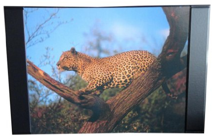 Schreibtischunterlage 68x44cm / mit Leopard