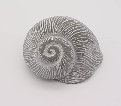 linoows Garten Figur Muschel, Meeresschnecke, Gartendeko, Garten Skulptur aus Beton