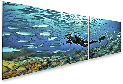 islandburner Bild auf Leinwand Taucher unter Wasser Verschiedene Arten von Meeresbewohnern Bilder Wandbilder Poster IVCO-2K