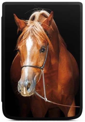 DeinDesign Coque pour liseuse Compatible avec Vivlio Touch Lux 5 Etui pour liseuse Protection pour liseuse Cheval Loisir Jument