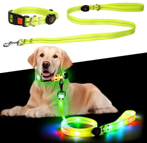 Leuchthalsband Hund, Beleuchtete Hundeleine über USB Wiederaufladbar 1,2 m, Wiederaufladbar Hundehalsband Leuchtend LED Halsband für Hunde Einstellbare Größe, für Kleine Mittlere Hunde, Wasserdicht