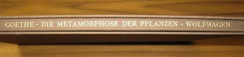 Die Metamorphose der Pflanzen. Ein Gedicht. Mit Originalradierungen von Ernst Wolfhagen.