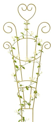 Rankgitter Für Kletterpflanzen Innenbereich | Metall-Pflanzenstütze - Rankstab für Efeutute | Für Garten, Terrasse, Außenbereich, Efeutute, Monstera, Geranie, Efeu, Clematis Und Zimmergärtner