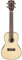 Kala kascg-ukulele, mit Detail mechanisch, Finish glänzend