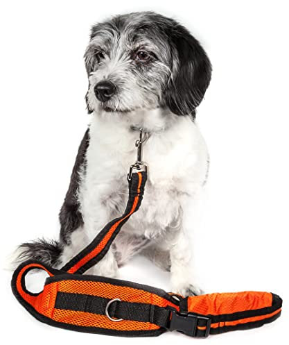 Pet Life 'Echelon' Hands Free and Convertible 2-In-1 Training Pet Dog Leash and Pet Belt Trainer, One Size, Orange