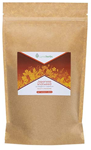 Poudre de renouée japonaise en poudre (250g)