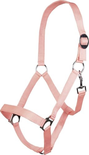 HKM Stars Economy Softice Halfter Koralle Shetty