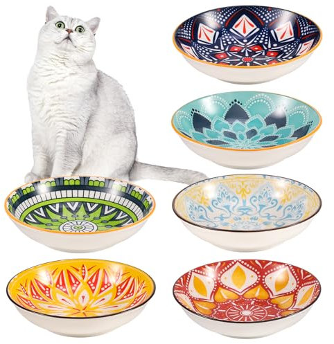 Radsocken 6 PCS Cat Bowls Ceramic, 5.5 Inches Cat Dishes and Bowl Wide Shallow Cat Food Bowls, Colorful Anti Whisker Fatigue Kitten Feeding Dishes Cats Plates for Indoor Cats Kitten