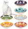 Radsocken 6 PCS Cat Bowls Ceramic, 5.5 Inches Cat Dishes and Bowl Wide Shallow Cat Food Bowls, Colorful Anti Whisker Fatigue Kitten Feeding Dishes Cats Plates for Indoor Cats Kitten