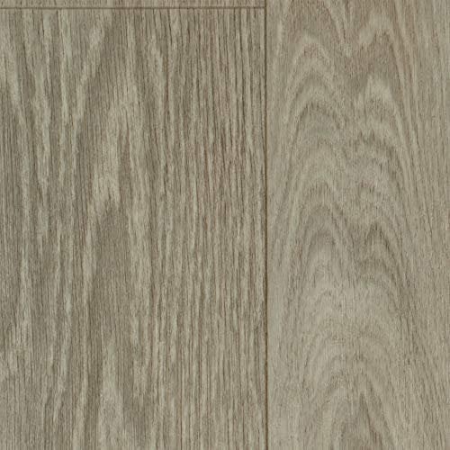 Vinylboden PVC Bodenbelag | Holzoptik Diele Eiche creme weiß hell | 400 und 500 cm Breite | Meterware | Variante: 6,5 x 5m