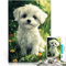 Jigsaw Puzzles 1000 Piece for teenagers Maltese dog Puppy in Flowers Präzisionsschnitt Lustiges Geschenk75x50cm