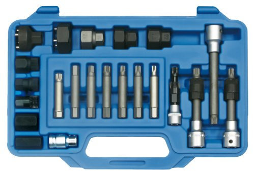 SW-Stahl 05275L Bitsatz für Freilaufriemenscheibe, 1/2, 22-teilig I Freilaufriemenscheibe Werkzeug l I Freilauf Werkzeug Set I Lichtmaschinen Werkzeugkasten I Generator Werkzeugsatz