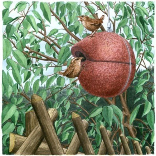 SCHWEGLER Zaunkönigkugel NistkugelHerbstlicht Rot