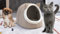 hausleben Filz Kleintier-Nest für Hunde und Katzen beige | Katzenhöhle aus Filz, Katzenbett, Tierhöhle, Pet Nest, Winter