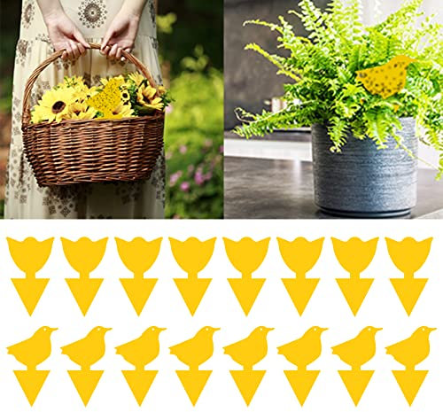 Gelbsticker Trauermücken,Gelbsticker,Trauermücken Bekämpfen,Gelbsticker Gelbtafeln Trauermücken,Trauermückenfrei mittel gegen Trauermücken,Fliegenfänger für Pflanzen,16 PCS