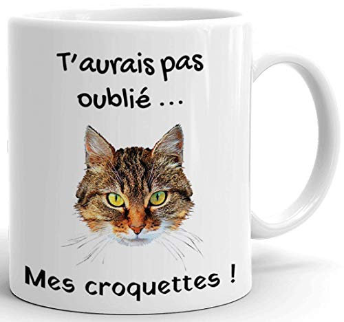 Tasse-Mug Chat Humour -T'aurais Pas Oublié Mes Croquettes- Idée Cadeau Drole Rigolo Humoristique Petit Déjeuner Amusant