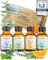 WOODFJORD Saunaaufguss Set BIO Harmonie I 4 verschiedene Saunadüfte und -Öle, je 100 ml I Premium Sauna Aufgussmittel Set für authentische Saunaerlebnisse I Das perfekte Saunaduft Probierset