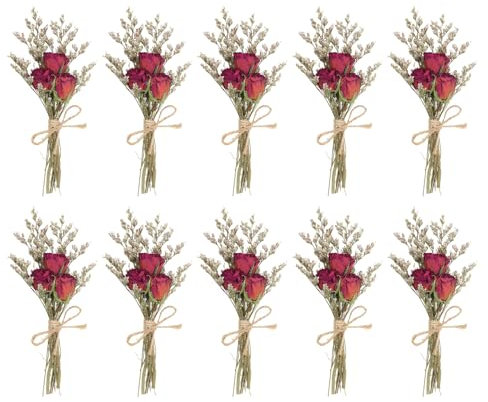 PATIKIL Mini Bouquet Fleurs Séchées, 10 Pcs Rose Naturelle Fleur avec Tige Décoration Gypsophile Boho Plante Florale pour Loisirs Créatifs DIY Accessoires Cadeau Mariage, Rouge