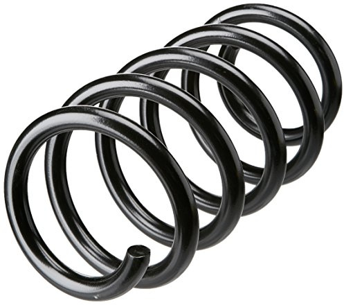 lesjofers 4026222 Coil Spring Front