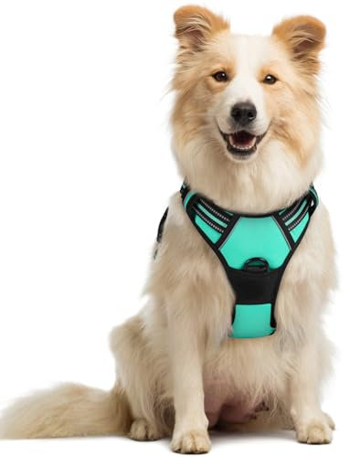 rabbitgoo Hundegeschirr Mittelgroße Hunde, Anti Zug Geschirr mit Kontrolle, No Pull Verstellbar Hundegeschirr Grosse Hunde, Atmungsaktiv Reflexstreifen Brustgeschirr Sichere Führung Grün M