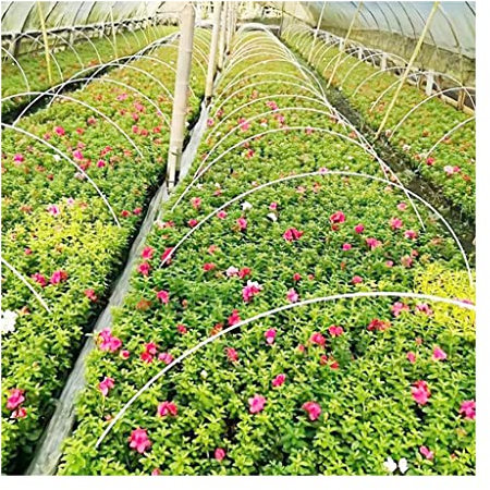 Barre En Fibre De Verre Blanche, For Matériau D'isolation Longueur De Tige En Fibre De Verre Solide 1000-6000mm Accessoires De Pièces De Tige En Fibre (Color : 2PC 1.5x2000mm)