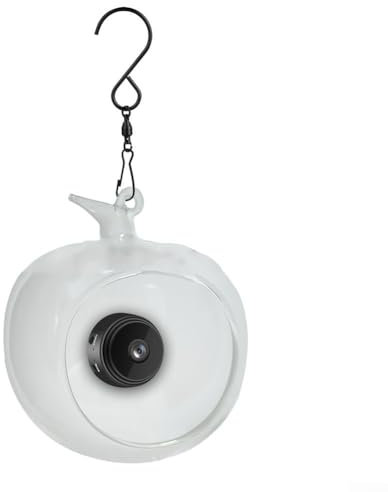 EXTRWORY Smart Bird Feeder with Wifi Camera, Bird Watching Camera, Wild Bird Watching Camera