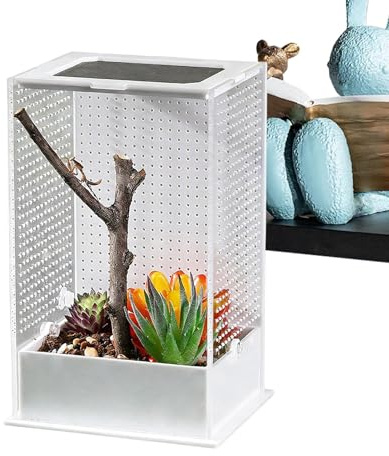 Enclosures pour araignées sauteuses Cage transparente en acrylique | Vivarium pour reptiles pour Araignées Sauteuses, Nidification et Alimentation de Petits Reptiles