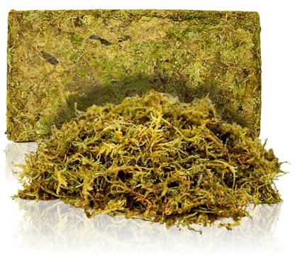Swell Reptiles Terrarium Moss Substrate (Green)
