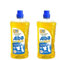 2 pezzi Alba gel Sapone Ecologico 1 Lt