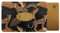 Color Pop Porte-Carte Rigide (1) Anti-RFID – Fabrication Française – PVC – Anti-RFID - Protection Cartes bancaires - 6 x 9,1 cm (Felins)