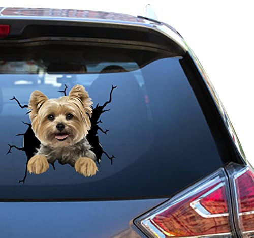 Camellia Print Yorkie-Aufkleber für Autofenster, Yorkshire Terrier, wasserdicht, UV-beständig, lebendiges Design, einfache Anwendung und lange Haltbarkeit. (Yorkie Hundeaufkleber)