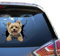 Camellia Print Yorkie-Aufkleber für Autofenster, Yorkshire Terrier, wasserdicht, UV-beständig, lebendiges Design, einfache Anwendung und lange Haltbarkeit. (Yorkie Hundeaufkleber)