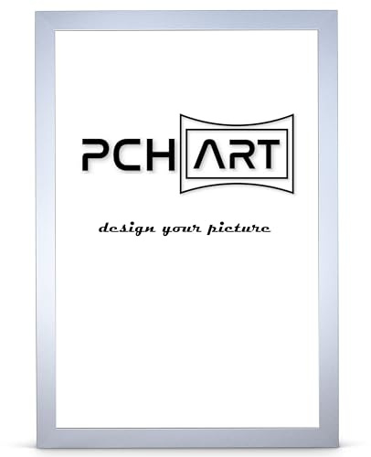 PCH[art] Bilderrahmen New Alaya | Farbe: Aluminium | Größe: 80x100 cm | zeitloser und schlichter Rahmen für Poster, Fotos und Portraits