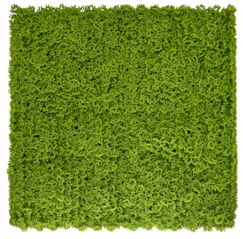 Ark Mat Artificial Plant Flower Living Wall Panels Realistic Indoor/Outdoor Garden 100cm x 100cm Home, Office, Cafe, Shop, Salon, Wedding (Moss)